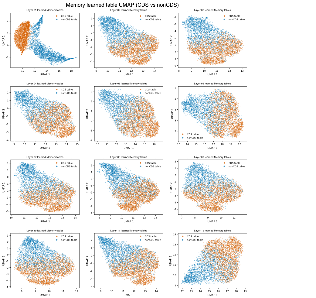 Memory vector distribution showing different clustering patterns for CDS and non-CDS regions